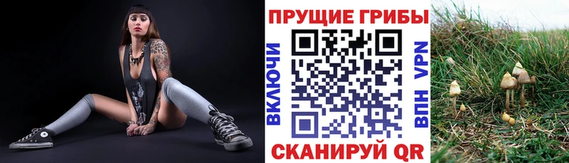 Купить  Костомукша  Галлюциногенные грибы Magic Shrooms 